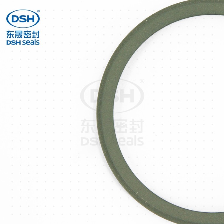 DGDA组合密封环 DGDA组合密封环