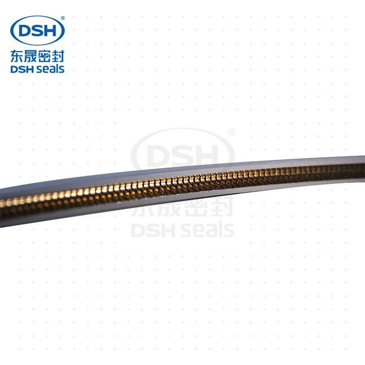 外侧泛塞封PTD 外侧泛塞封PTD