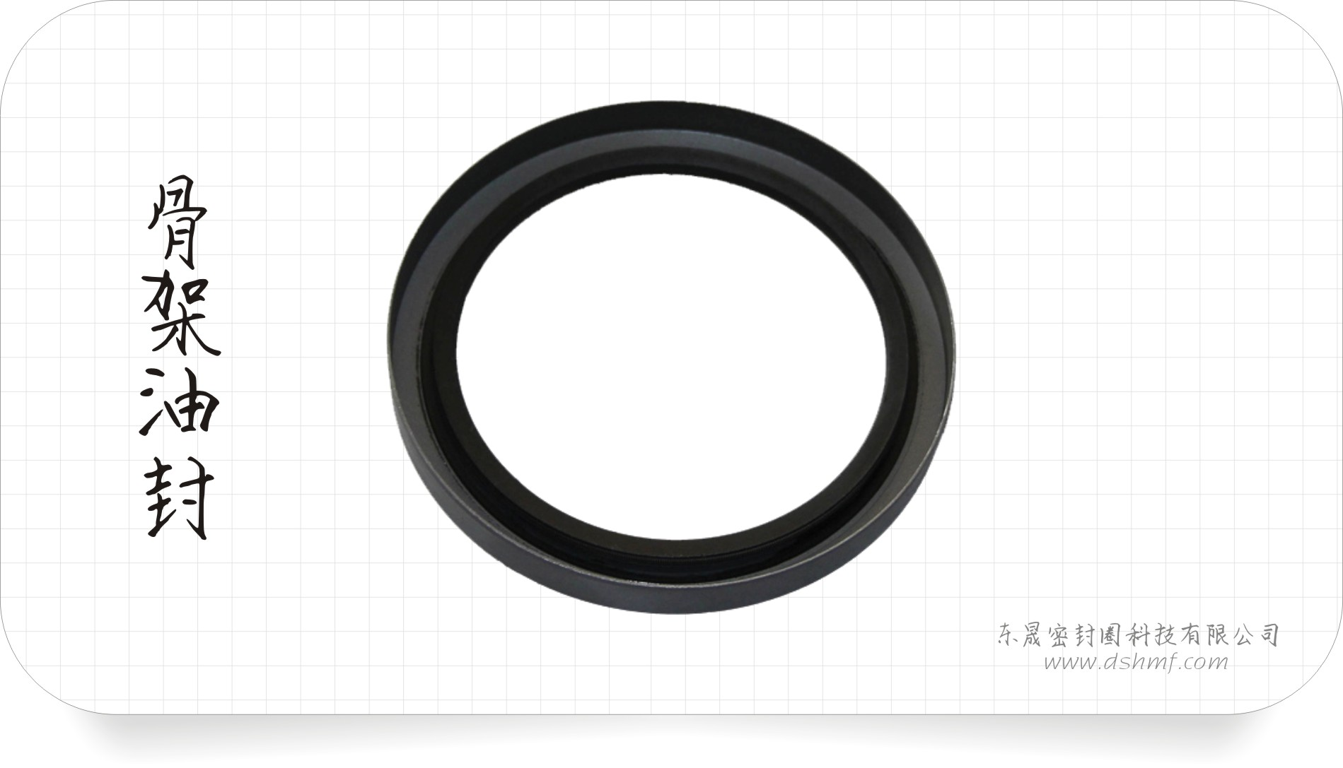 骨架油封3 骨架油封3