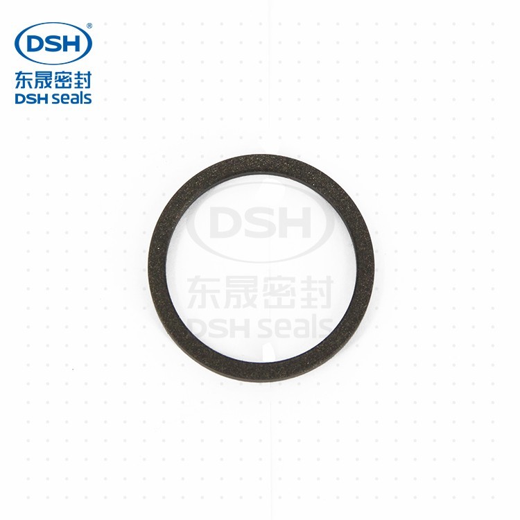 轴用格莱圈DSI DSI轴用格莱圈